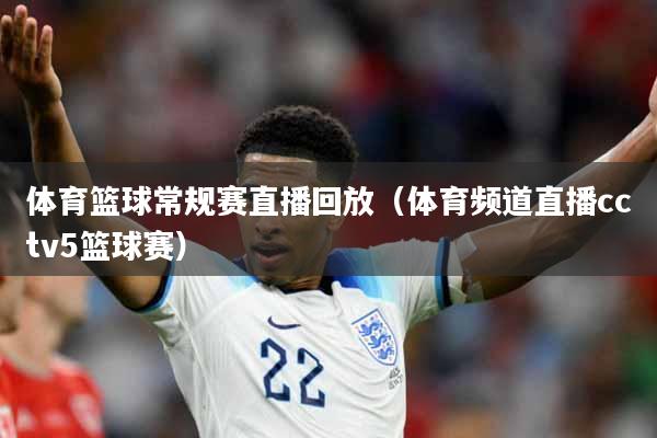 体育篮球常规赛直播回放（体育频道直播cctv5篮球赛）