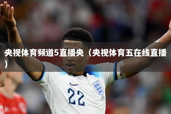 央视体育频道5直播央（央视体育五在线直播）