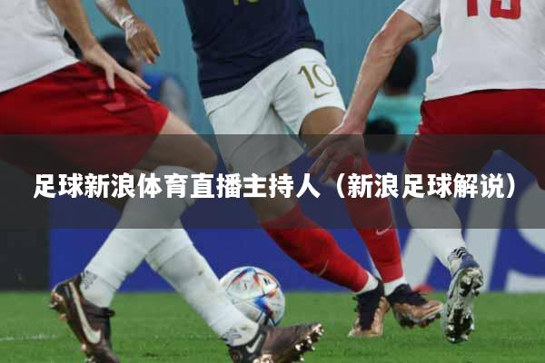 足球新浪体育直播主持人（新浪足球解说）