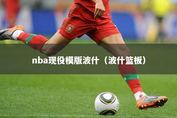 nba现役模版波什（波什篮板）