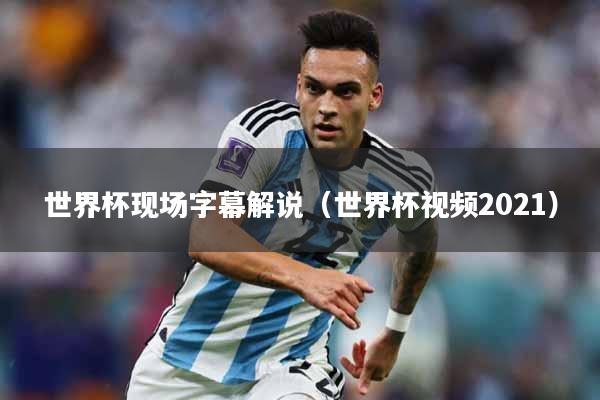 世界杯现场字幕解说（世界杯视频2021）