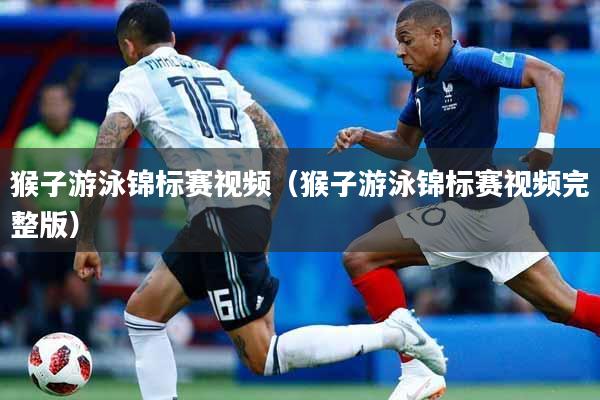 猴子游泳锦标赛视频（猴子游泳锦标赛视频完整版）