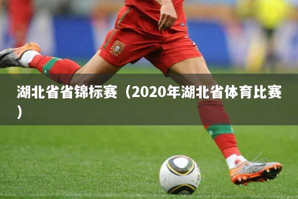 湖北省省锦标赛（2020年湖北省体育比赛）