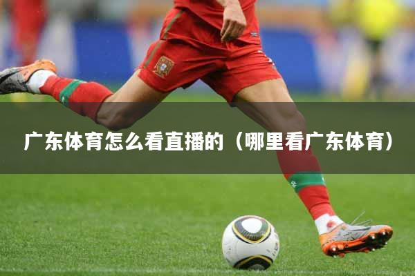 广东体育怎么看直播的（哪里看广东体育）