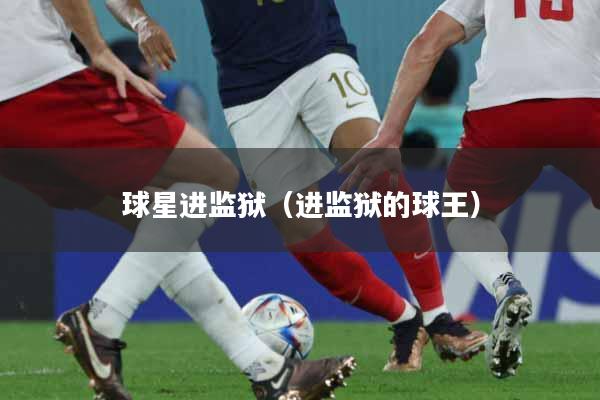 球星进监狱（进监狱的球王）