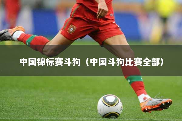 中国锦标赛斗狗（中国斗狗比赛全部）