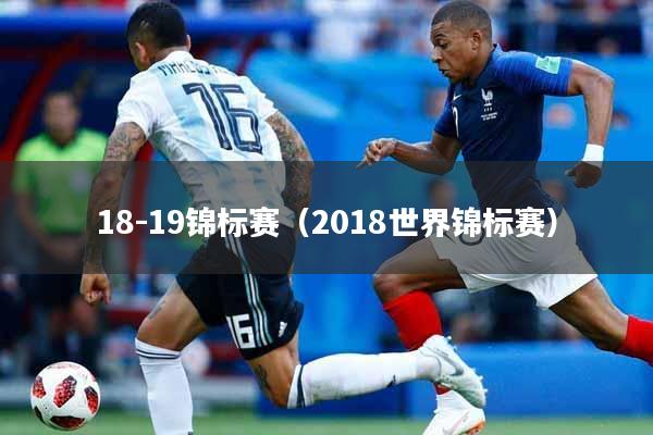 18-19锦标赛（2018世界锦标赛）