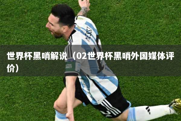世界杯黑哨解说（02世界杯黑哨外国媒体评价）