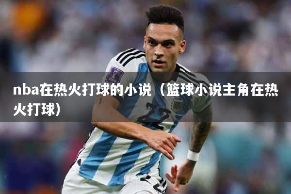 nba在热火打球的小说（篮球小说主角在热火打球）