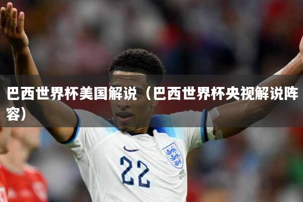 巴西世界杯美国解说（巴西世界杯央视解说阵容）