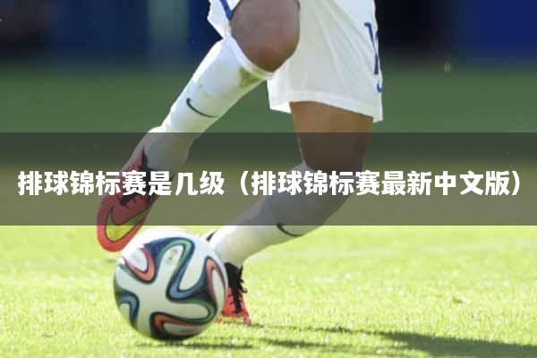 排球锦标赛是几级（排球锦标赛最新中文版）