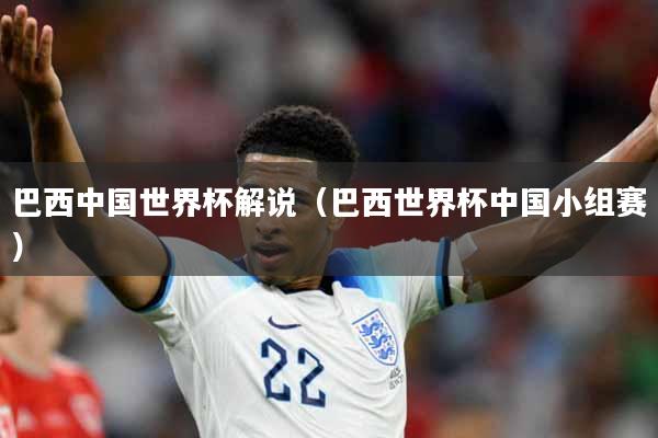 巴西中国世界杯解说（巴西世界杯中国小组赛）