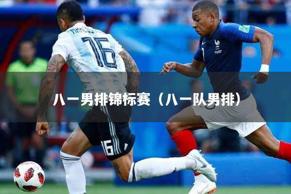 八一男排锦标赛（八一队男排）