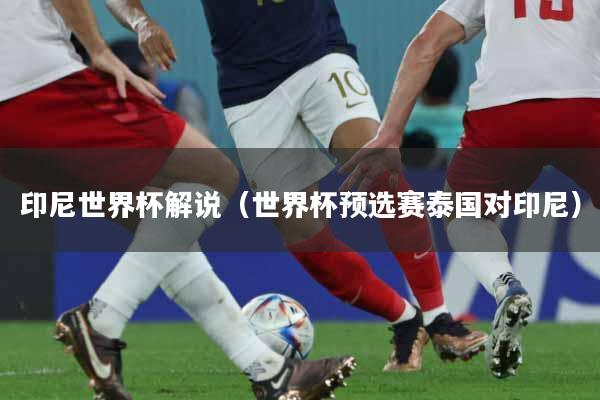 印尼世界杯解说（世界杯预选赛泰国对印尼）