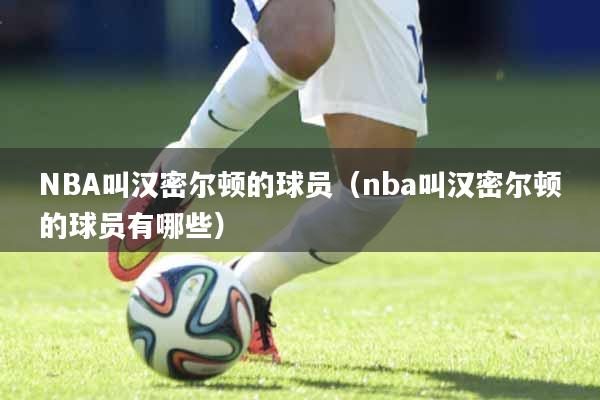 NBA叫汉密尔顿的球员（nba叫汉密尔顿的球员有哪些）