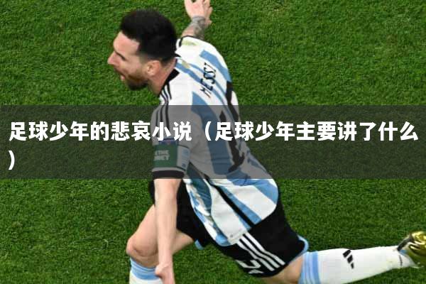 足球少年的悲哀小说（足球少年主要讲了什么）