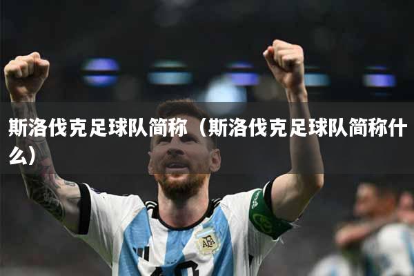 斯洛伐克足球队简称（斯洛伐克足球队简称什么）