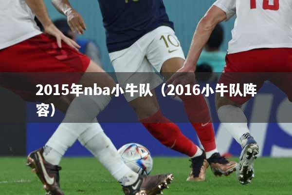 2015年nba小牛队（2016小牛队阵容）