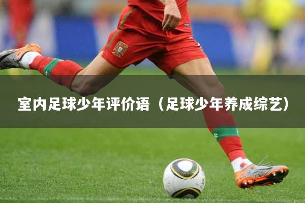 室内足球少年评价语（足球少年养成综艺）