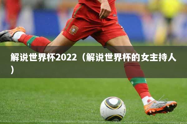 解说世界杯2022（解说世界杯的女主持人）