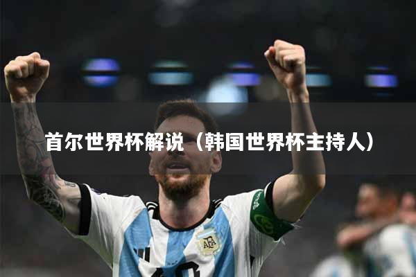 首尔世界杯解说（韩国世界杯主持人）