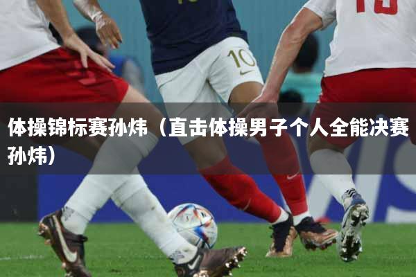 体操锦标赛孙炜（直击体操男子个人全能决赛孙炜）