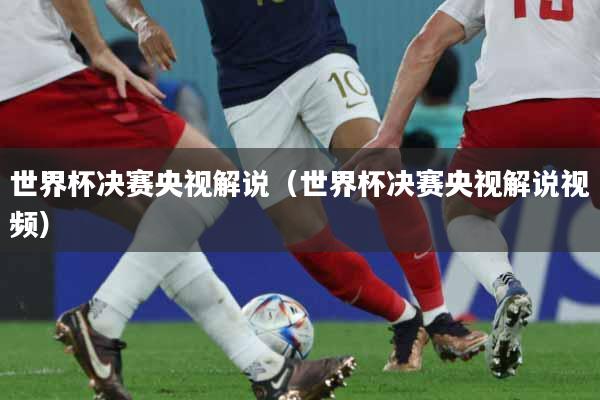 世界杯决赛央视解说（世界杯决赛央视解说视频）