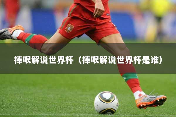 捧哏解说世界杯（捧哏解说世界杯是谁）