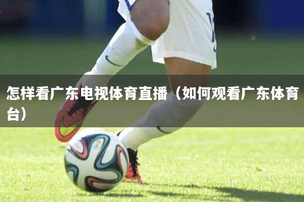 怎样看广东电视体育直播（如何观看广东体育台）