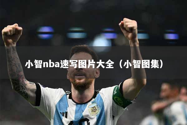 小智nba速写图片大全（小智图集）