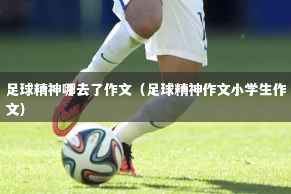 足球精神哪去了作文（足球精神作文小学生作文）