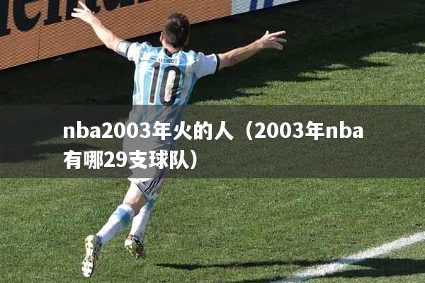 nba2003年火的人（2003年nba有哪29支球队）
