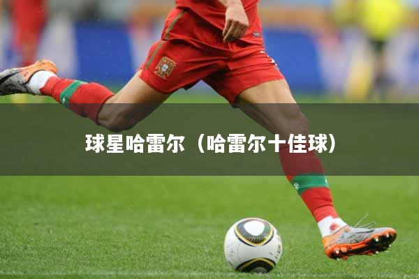 球星哈雷尔（哈雷尔十佳球）