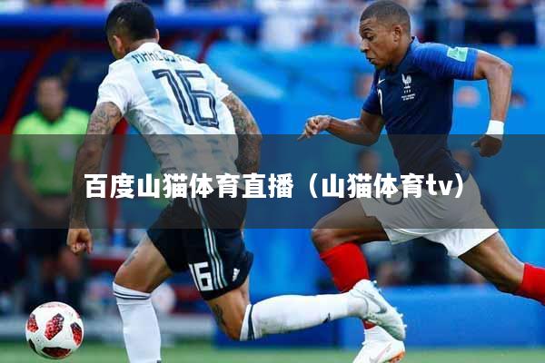 百度山猫体育直播（山猫体育tv）
