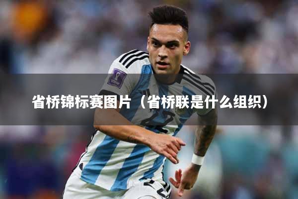 省桥锦标赛图片（省桥联是什么组织）