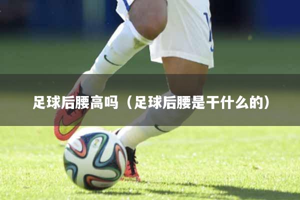 足球后腰高吗（足球后腰是干什么的）