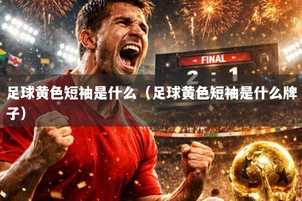 足球黄色短袖是什么（足球黄色短袖是什么牌子）