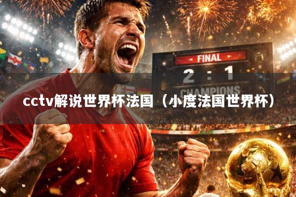 cctv解说世界杯法国（小度法国世界杯）