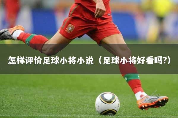 怎样评价足球小将小说（足球小将好看吗?）