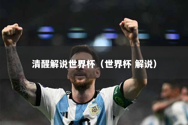 清醒解说世界杯（世界杯 解说）