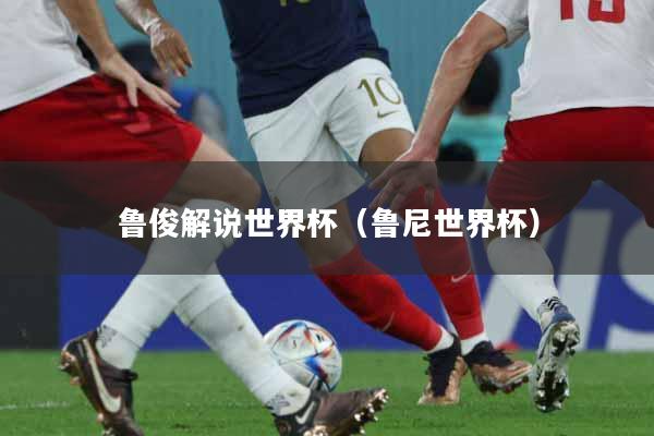 鲁俊解说世界杯（鲁尼世界杯）