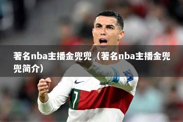 著名nba主播金兜兜（著名nba主播金兜兜简介）