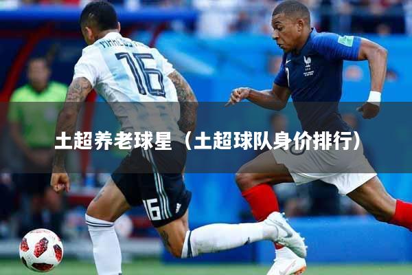 土超养老球星（土超球队身价排行）