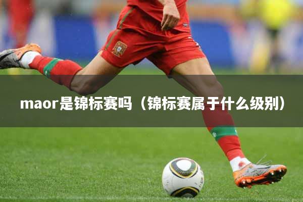 maor是锦标赛吗（锦标赛属于什么级别）