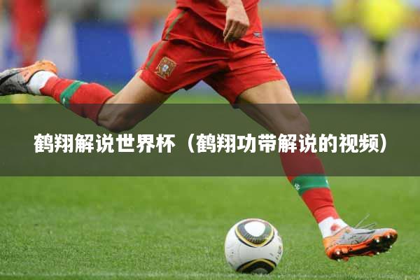 鹤翔解说世界杯（鹤翔功带解说的视频）