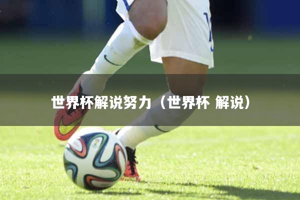 世界杯解说努力（世界杯 解说）