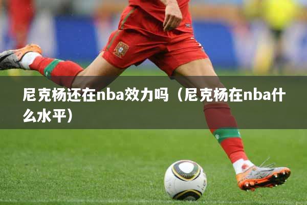 尼克杨还在nba效力吗（尼克杨在nba什么水平）