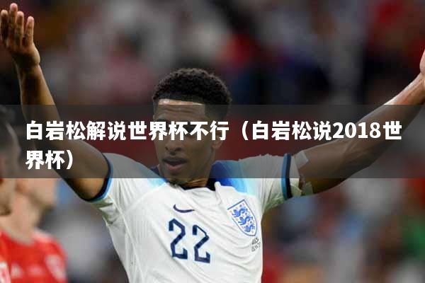 白岩松解说世界杯不行（白岩松说2018世界杯）