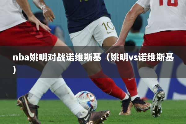 nba姚明对战诺维斯基（姚明vs诺维斯基）