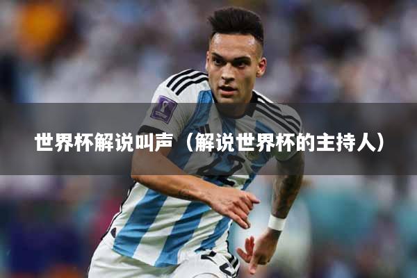 世界杯解说叫声（解说世界杯的主持人）